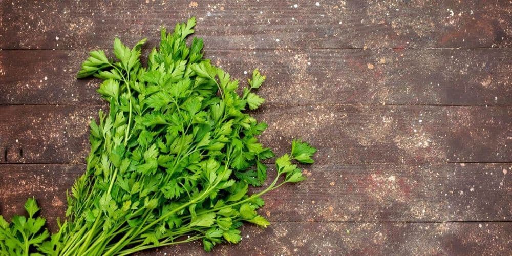 Sužinokite apie sėjamosios petražolės gydomąsias savybes ir jos panaudojimą įvairiose sveikatos srityse.